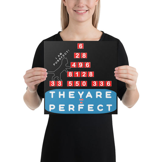 Canvas - Purrfect Numbers, Imperfect Us?