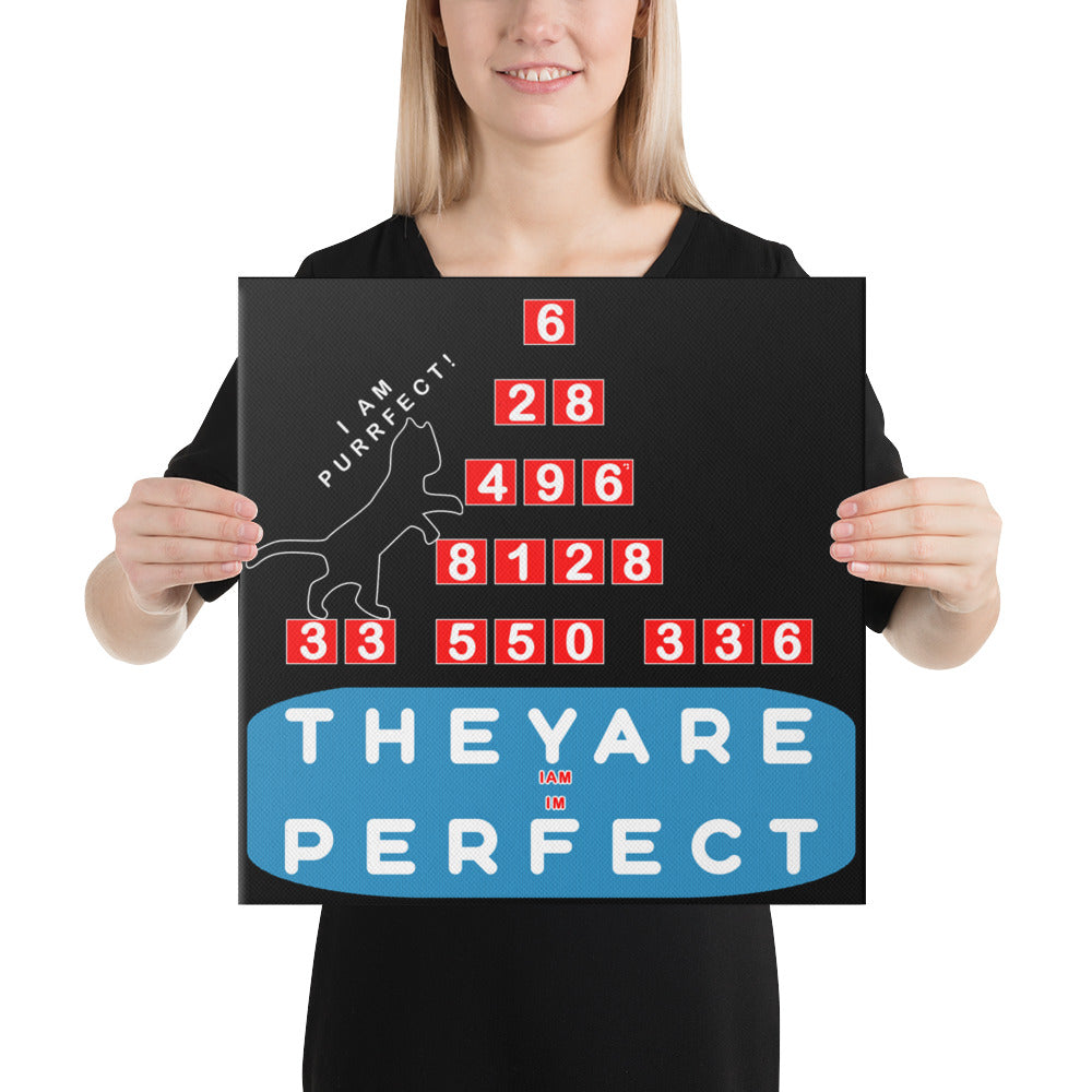 Canvas - Purrfect Numbers, Imperfect Us?