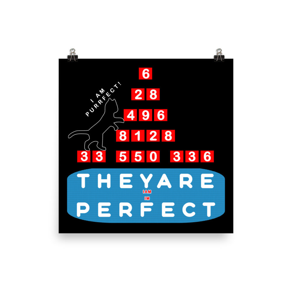 Photo paper poster - Purrfect Numbers, Imperfect Us?