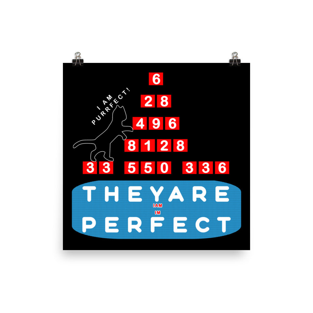 Photo paper poster - Purrfect Numbers, Imperfect Us?